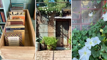 Una librería en un pueblo de 300 habitantes “para sobrevivir y agitar” en plena pampa bonaerense