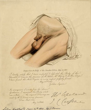 El dibujo que Charles Turner