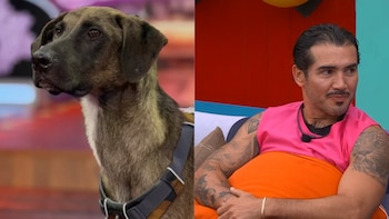 Acusan a Mono Osuna de presunto maltrato animal contra Tlacoyo en La Granja VIP