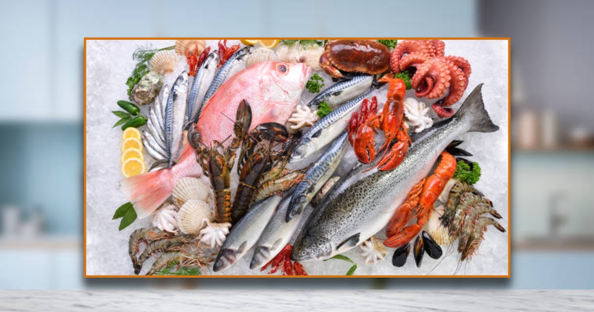 ¡Mariscos Seguros y Deliciosos! Guía para Elegir Pescados y Mariscos de Calidad según la Secretaría de Salud Argentina