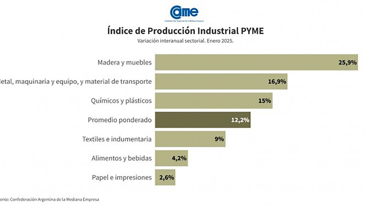 Informe