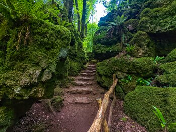 Puzzlewood