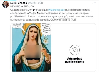 Olas de críticas contra 'Wicho'