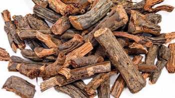 Cuáles son las eficaces plantas