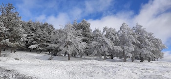 Puerto de la Morcuera, en
