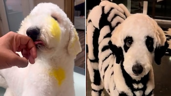 El estilista brasileño Gabriel Feitosa