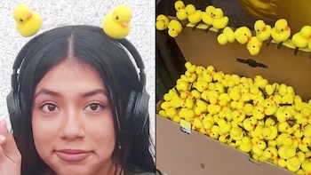 Qué significa la tendencia de