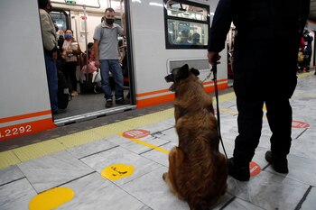 El metro de la Ciudad