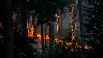 Última hora de los incendios en España y la emergencia nacional, en directo: Marlaska avisa de que el lunes y el martes son días “absolutamente centrales” para apagar el fuego