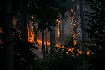 Vista del incendio cerca de la Charca de la Nieta, a 26 de julio de 2026, en Piedralaves, Ávila. (Gabri Solera / Europa Press)