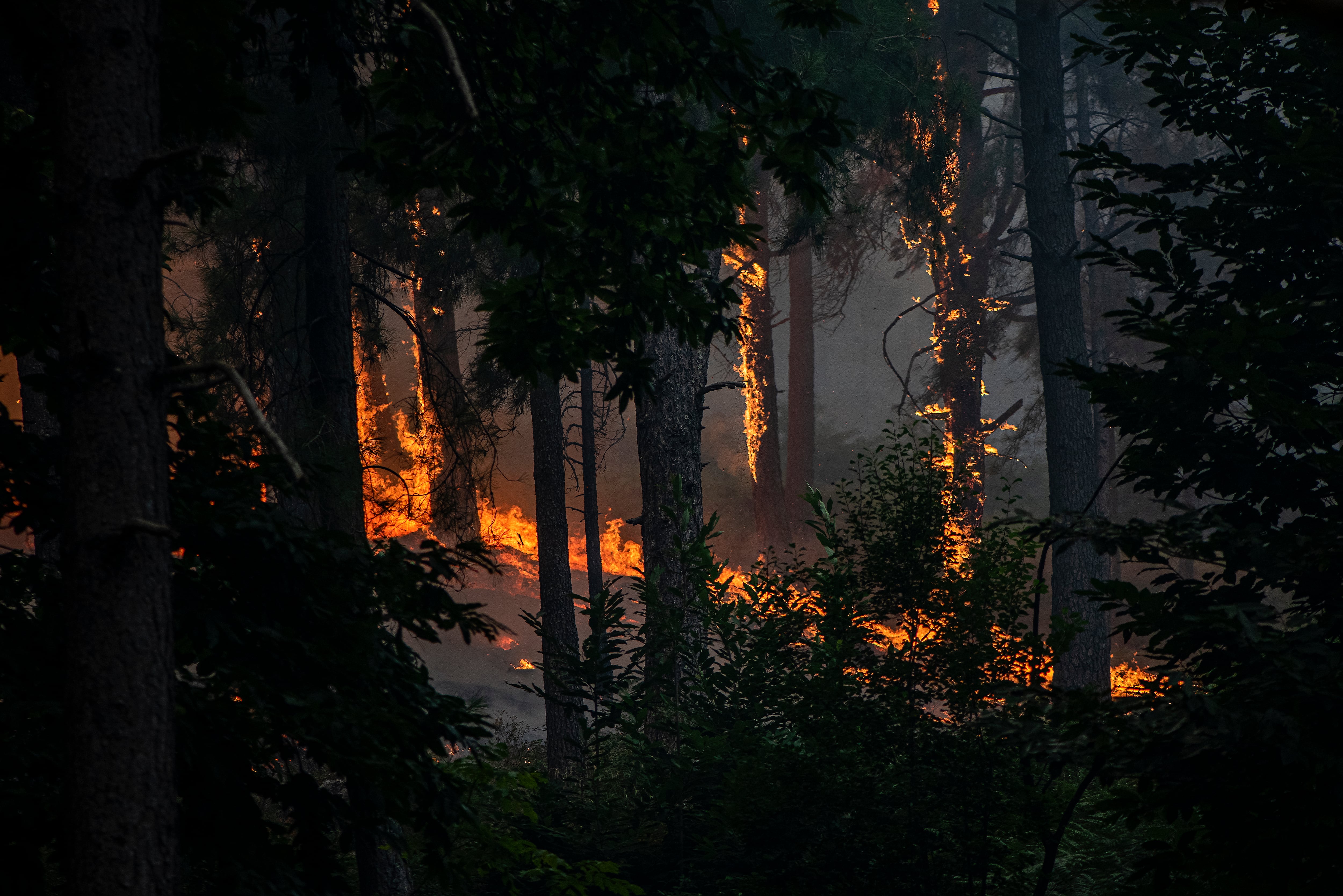 Vista del incendio cerca de la Charca de la Nieta, a 26 de julio de 2026, en Piedralaves, Ávila. (Gabri Solera / Europa Press)
