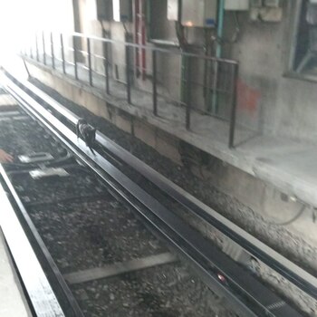 El animal se encontraba en