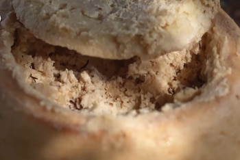Queso Casu marzu