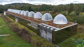 Las cúpulas en Limburgo recrean