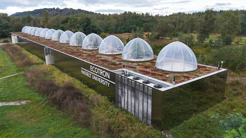 Peras: un experimento para enfrentar el cambio climático en Europa