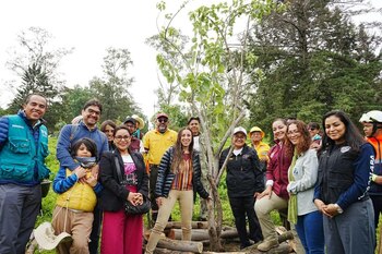 Instituciones ambientales trabajan para reforestar