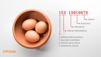 Qué significan los números de