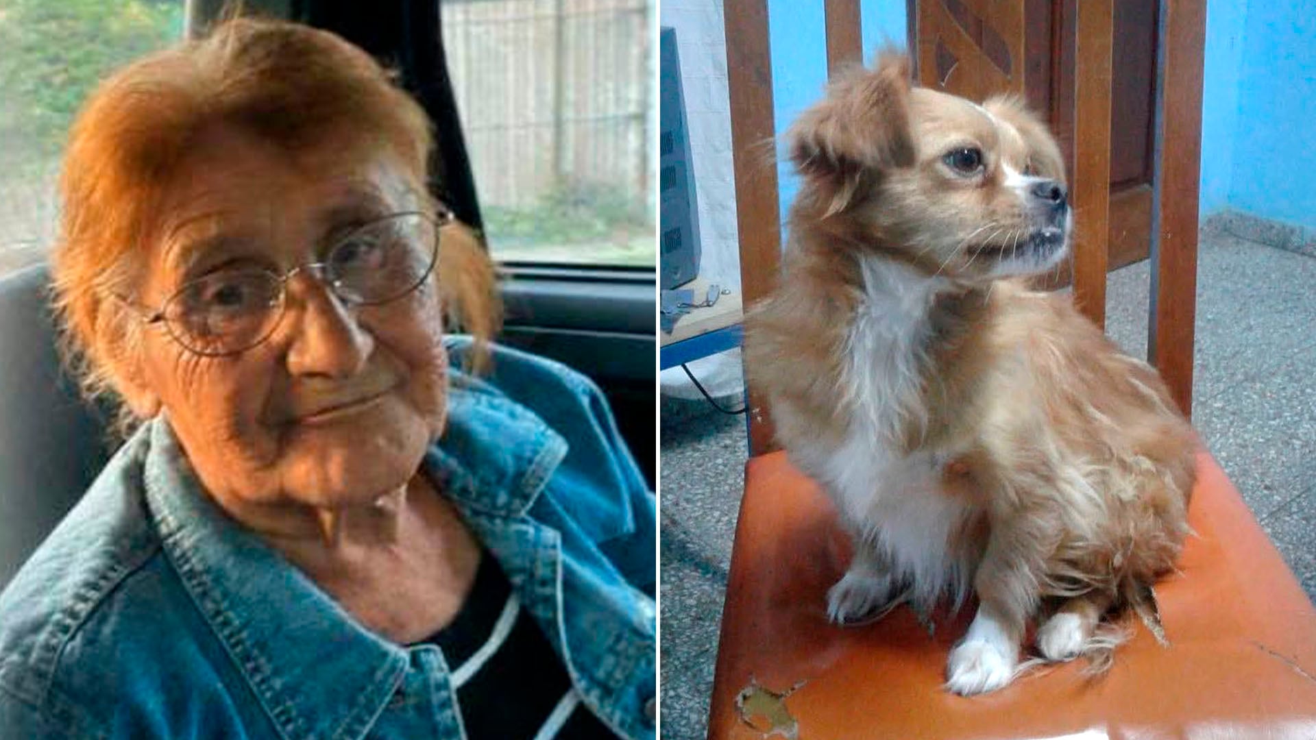 La mujer sufre problemas de memoria y, al momento de la desaparición, se encontraba junto a su mascota.