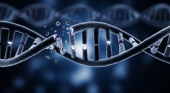 Una cadena de ADN en forma de doble hélice presenta múltiples rupturas y segmentos desprendidos sobre un fondo oscuro.