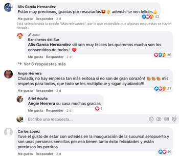 Usuarios en redes sociales se