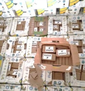 La droga venía empaquetada en