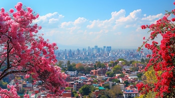 LaInformación Sobre el Cima