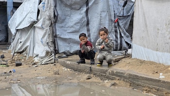 Varias ONG denuncian que el plan de paz de Trump para la Franja de Gaza "está fracasando"