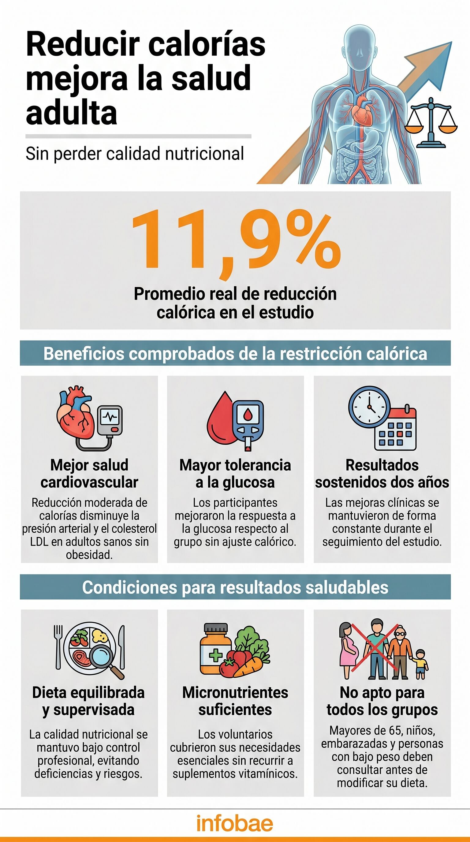 Una reducción moderada de calorías mejora la presión arterial y el colesterol en adultos sanos (Imagen Ilustrativa Infobae)