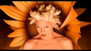 El video musical reflejaba las