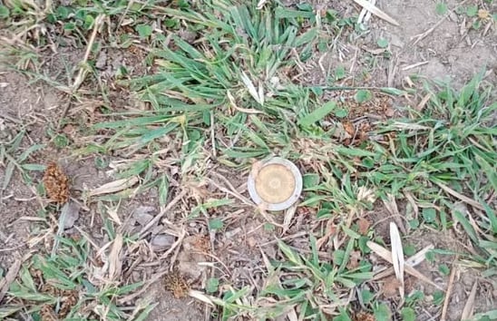 El niño se tragó la moneda mientras jugaba con una alcancía en la casa de su abuela, su madre advirtió que había cambiado de color y salió a la calle a pedir auxilio (Fotos: La Capital)