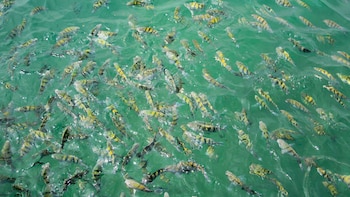 Este cayo coralino ofrece paisajes