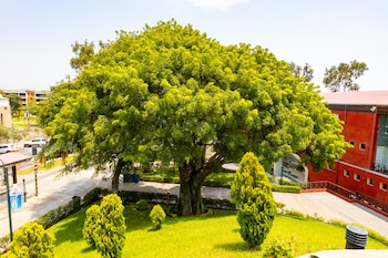 La Municipalidad de Surco, con