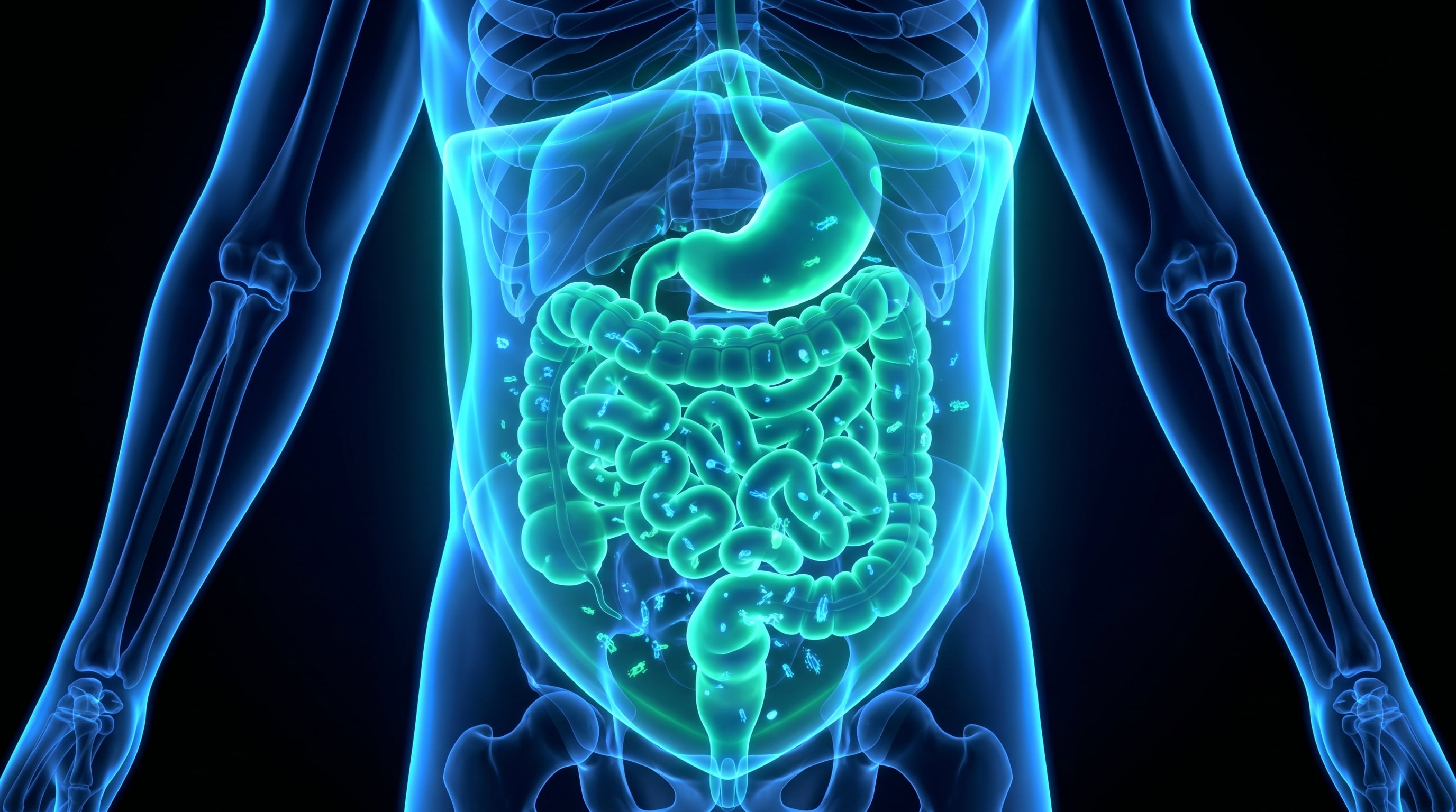 El microbioma intestinal puede alterarse incluso sin que el cuerpo presente signos visibles de deshidratación. (Imagen Ilustrativa Infobae)
