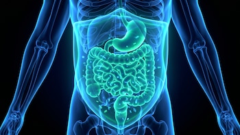 ¿Por qué tomar un vaso de agua al despertar puede proteger tu estómago y prevenir infecciones intestinales?