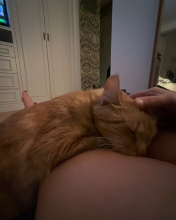 Después del sufrimiento, Fox encontró