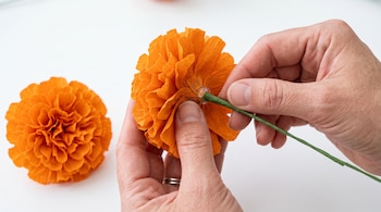 Dos manos sujetan una flor naranja de papel crepé y le insertan un alambre verde, junto a otra flor idéntica apoyada sobre una mesa blanca.