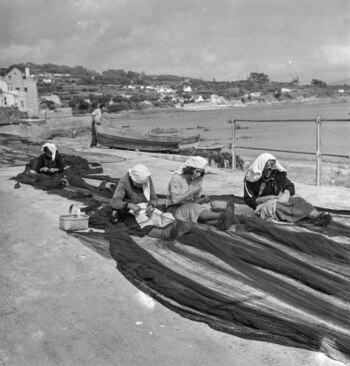 Imagen cedida por el Instituto de Patrimonio Cultural. EFE