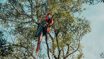 La fundación lideró un proyecto