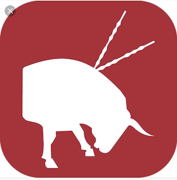 El icono representa a un