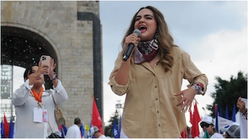 La diputada de Morena reaccionó