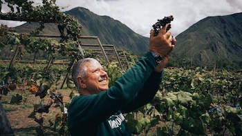 Wayocari ya logró ingresar a restaurantes de alta cocina en Lima y busca consolidar la presencia del vino peruano en mercados especializados. Wayocari