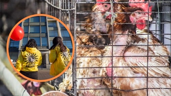 Activistas se plantaron frente a