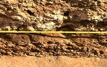 La antigua calzada romana descubierta