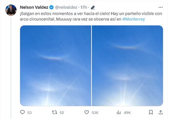 Especialistas explicaron de qué se