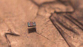 El microrrobot más pequeño del