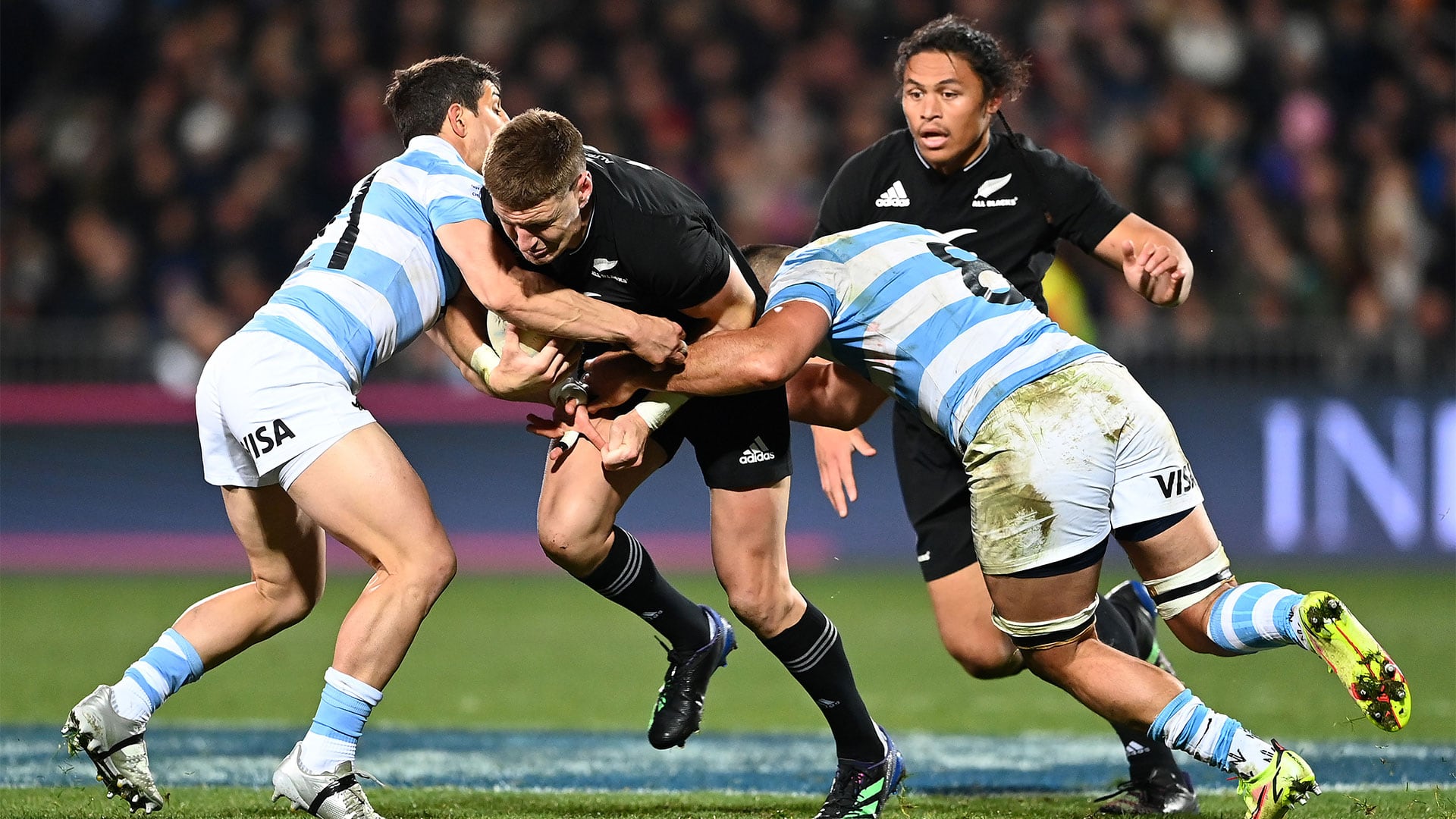 Argentina disputará dos partidos frente a Nueva Zelanda como local(Photo by Hannah Peters/Getty Images)