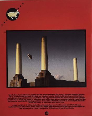 La intervención policial y la