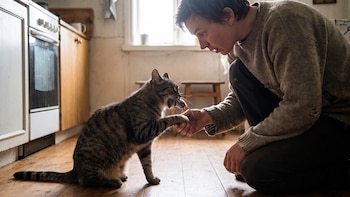 Los veterinarios lo confirman: tú gato te trae comida porque piensa que no puedes cazar y podrías morir de hambre