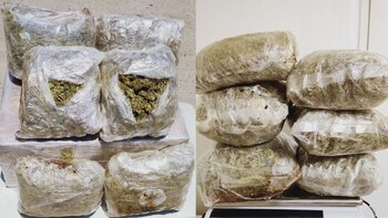 Guardia Nacional interceptó en siete