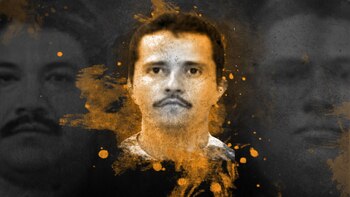 (Fotoarte: Jovani Silva)